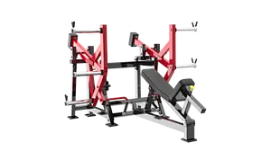 ISO-LATERAL BACK EXTENSION